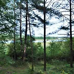 別荘 Lesne Zacisze Letniskowe *