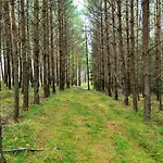 Lesne Zacisze Letniskowe Lipnica