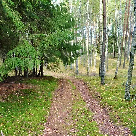 Casa vacanze Lesne Zacisze Letniskowe *