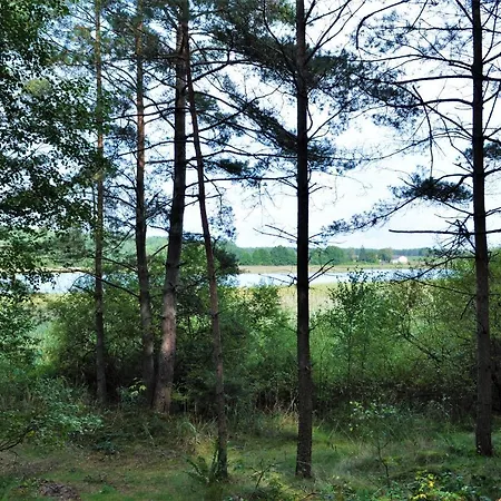 Casa vacanze Lesne Zacisze Letniskowe *