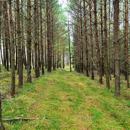 Lesne Zacisze Letniskowe Lipnica (Bytow)