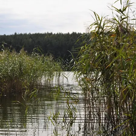 Lesne Zacisze Letniskowe