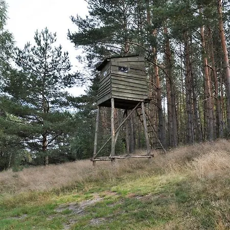 Tatil Evi Lesne Zacisze Letniskowe