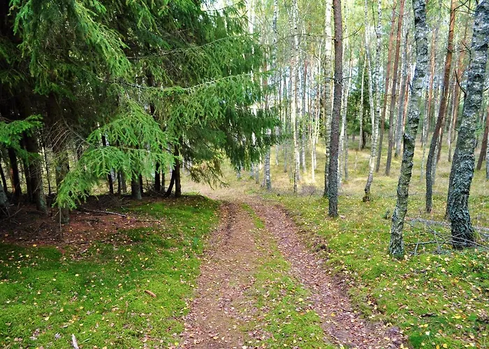 Semesterbostad Lesne Zacisze Letniskowe *