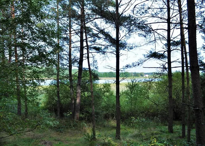 Casa de Férias Lesne Zacisze Letniskowe *