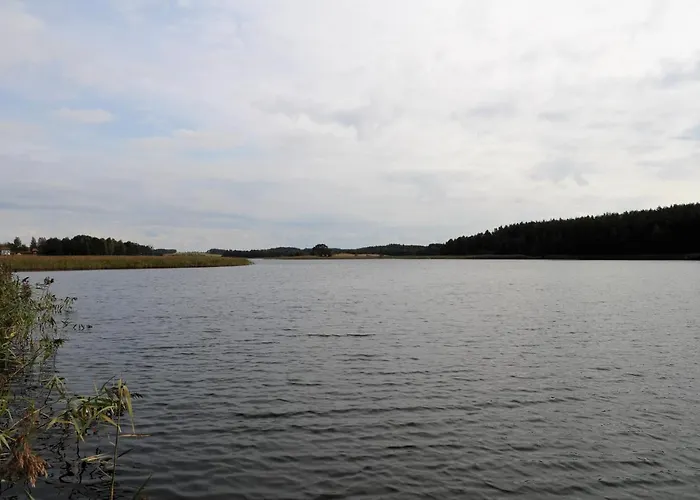 Lesne Zacisze Letniskowe Semesterbostad *