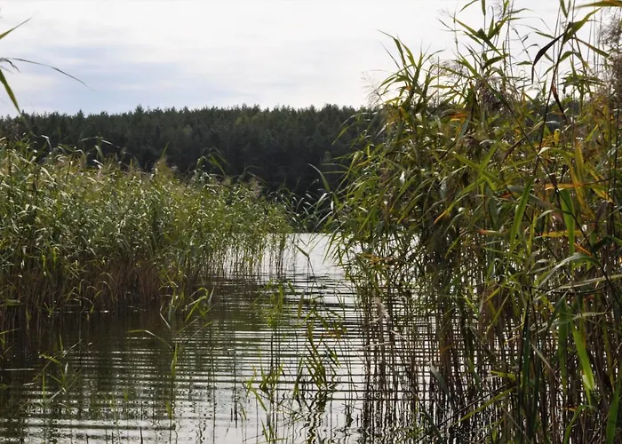 Lesne Zacisze Letniskowe