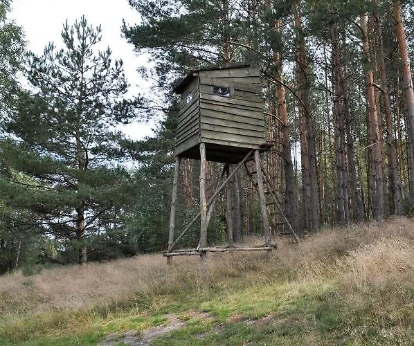 Semesterbostad Lesne Zacisze Letniskowe